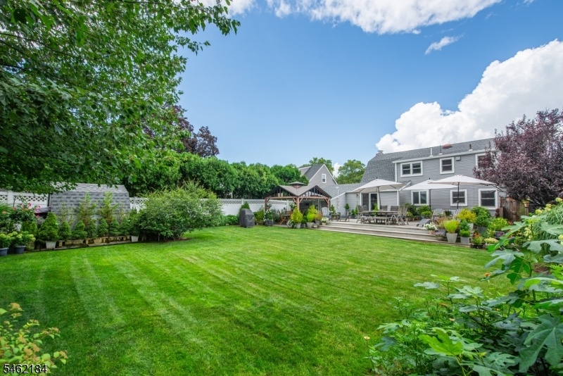 expansive backyard