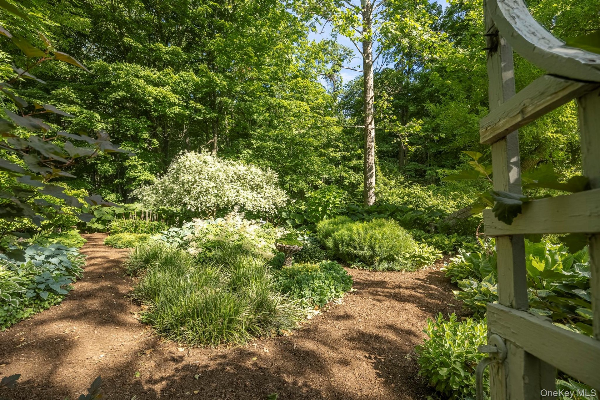 Secret Shade Garden