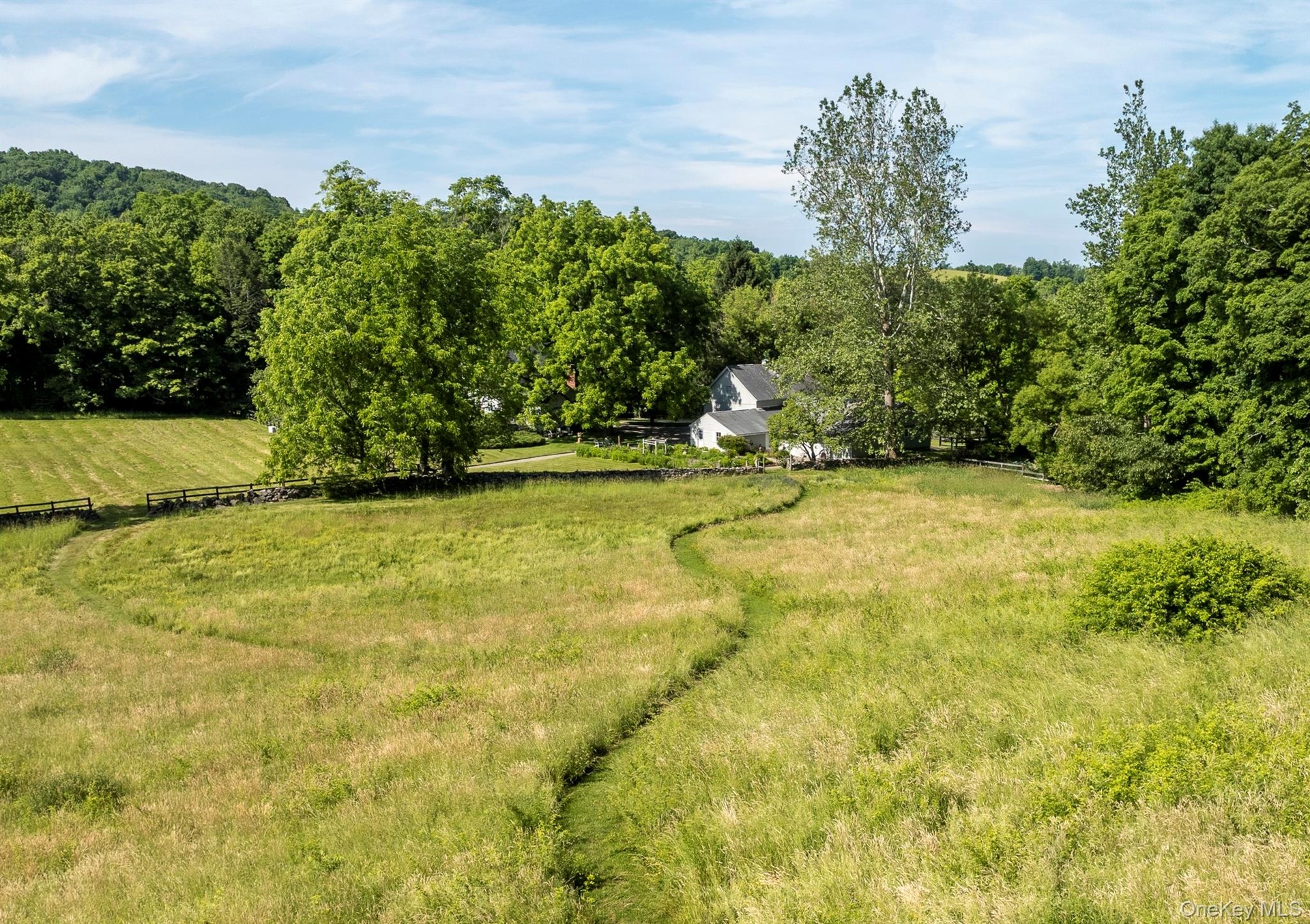 Winding Walking Paths