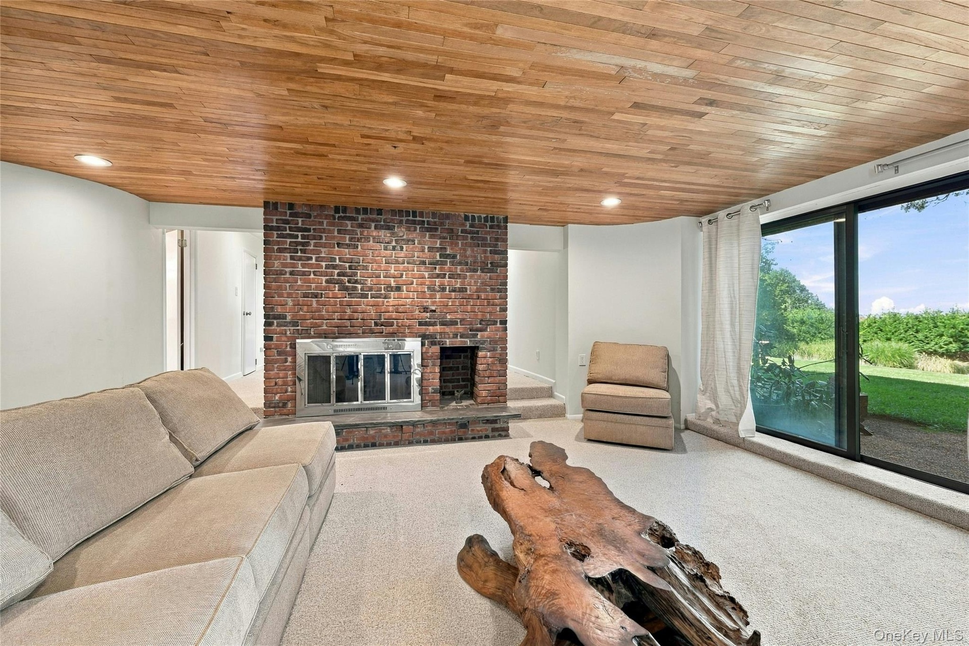 Lower Level Living Space with Fireplace and Separate Entrance to Yard