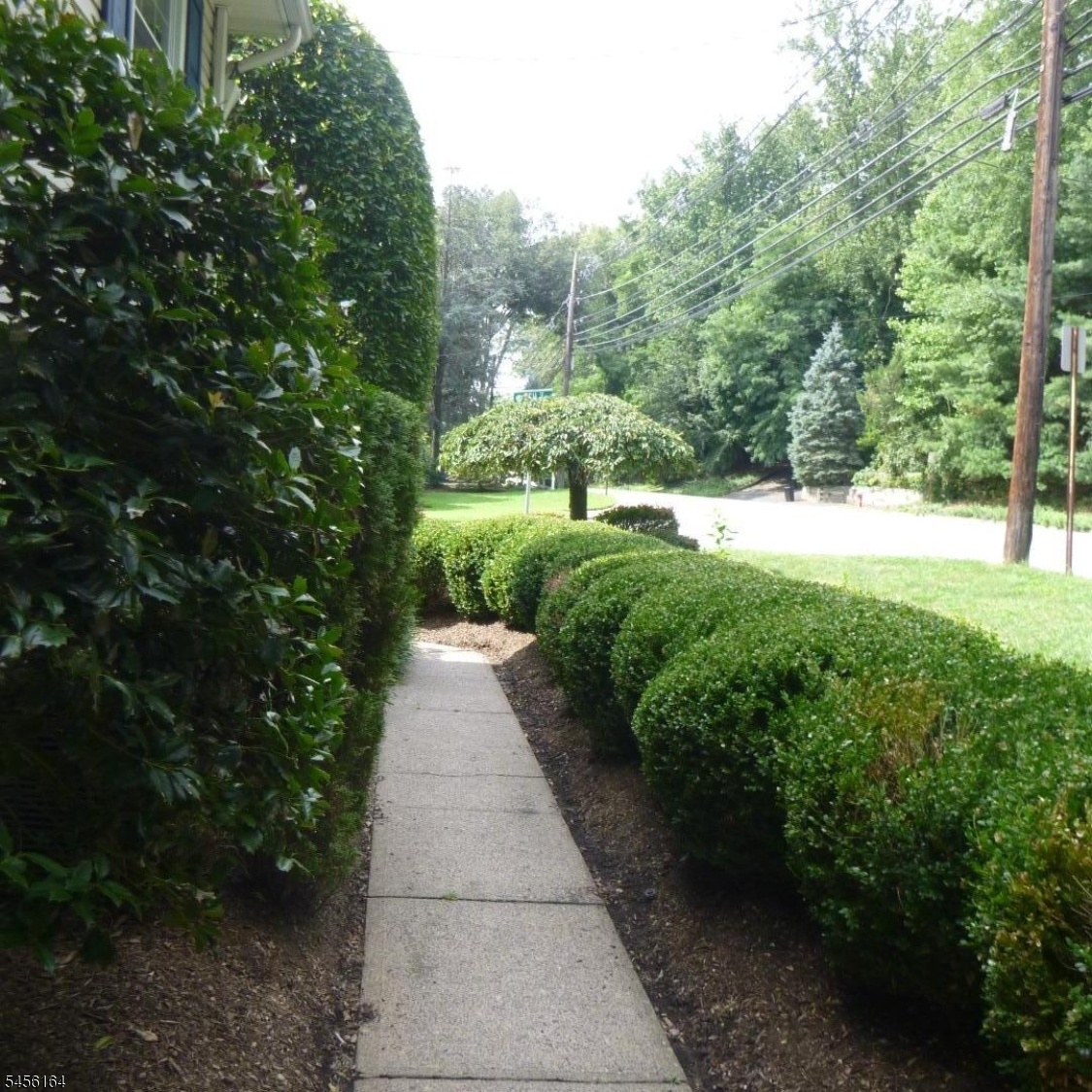 Front path
