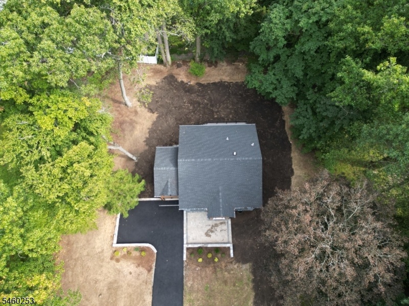 aerial
