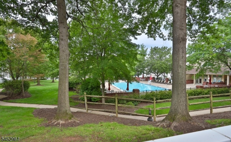 Pool from patio