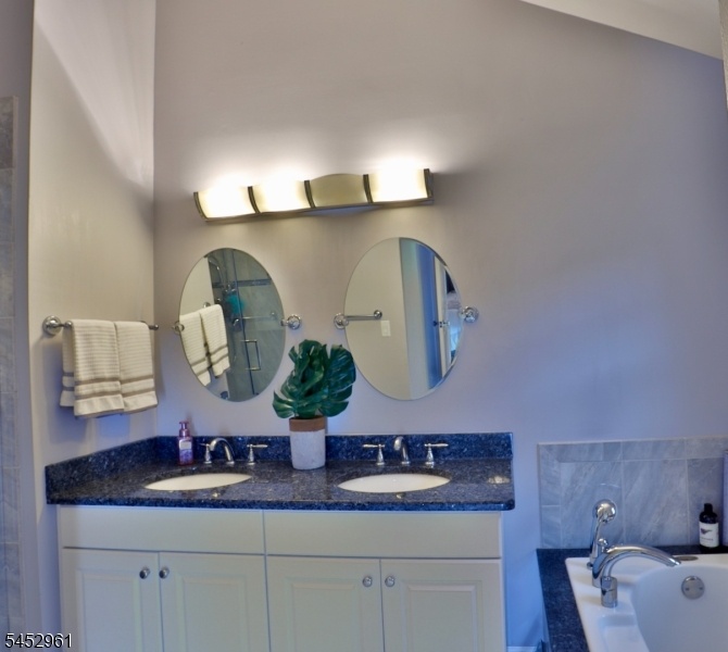 Dual Sink
