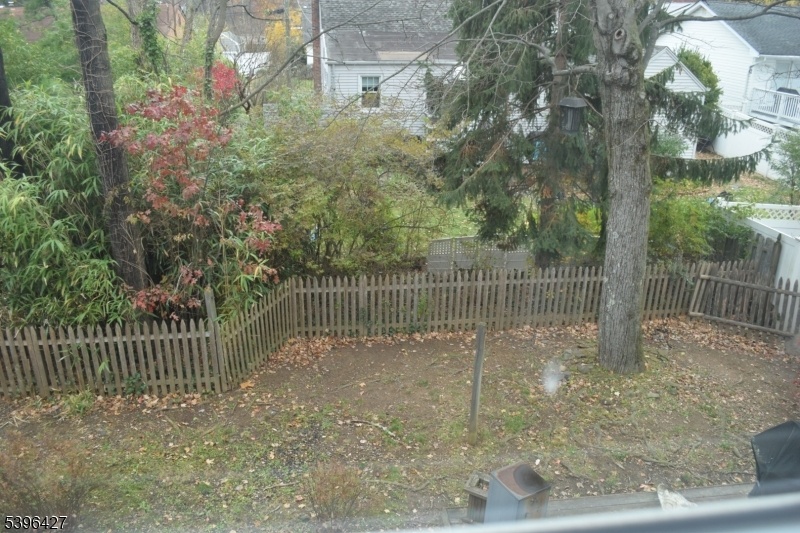 view of backyard