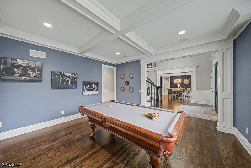 Living Room - Billard Room