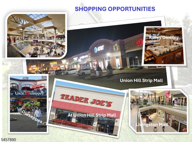 Shopping Opportunity