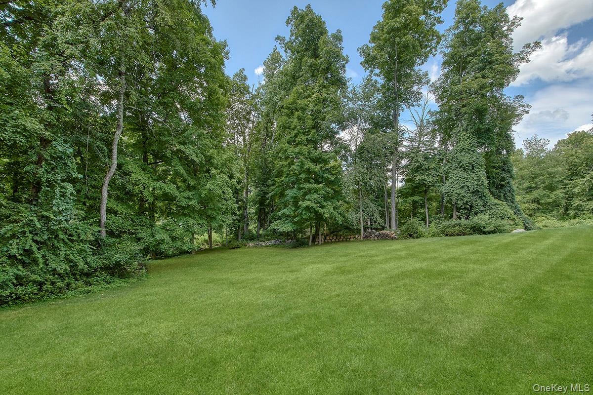 Expansive lawn surrounded by mature trees