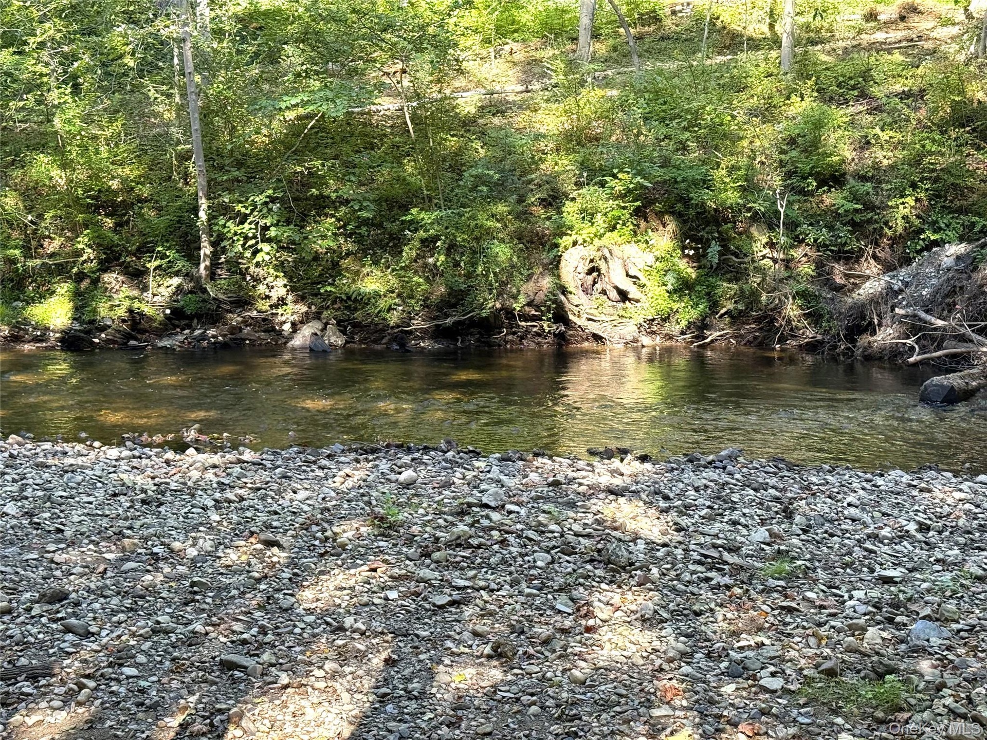 Stream in rear of house