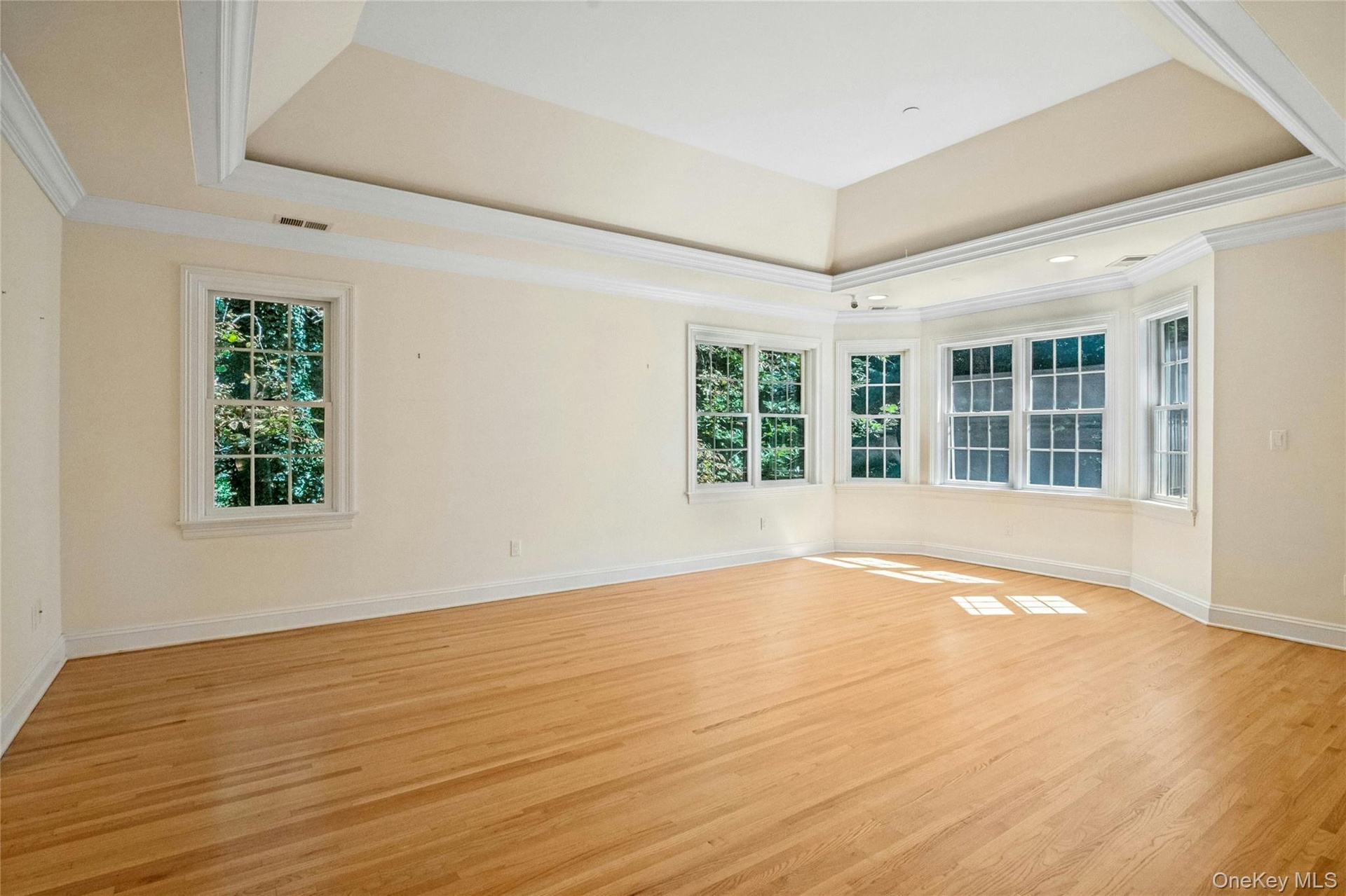 Tray ceiling, primary bedroom over looks over the rear yard. Two walk in closets. Large master bath.