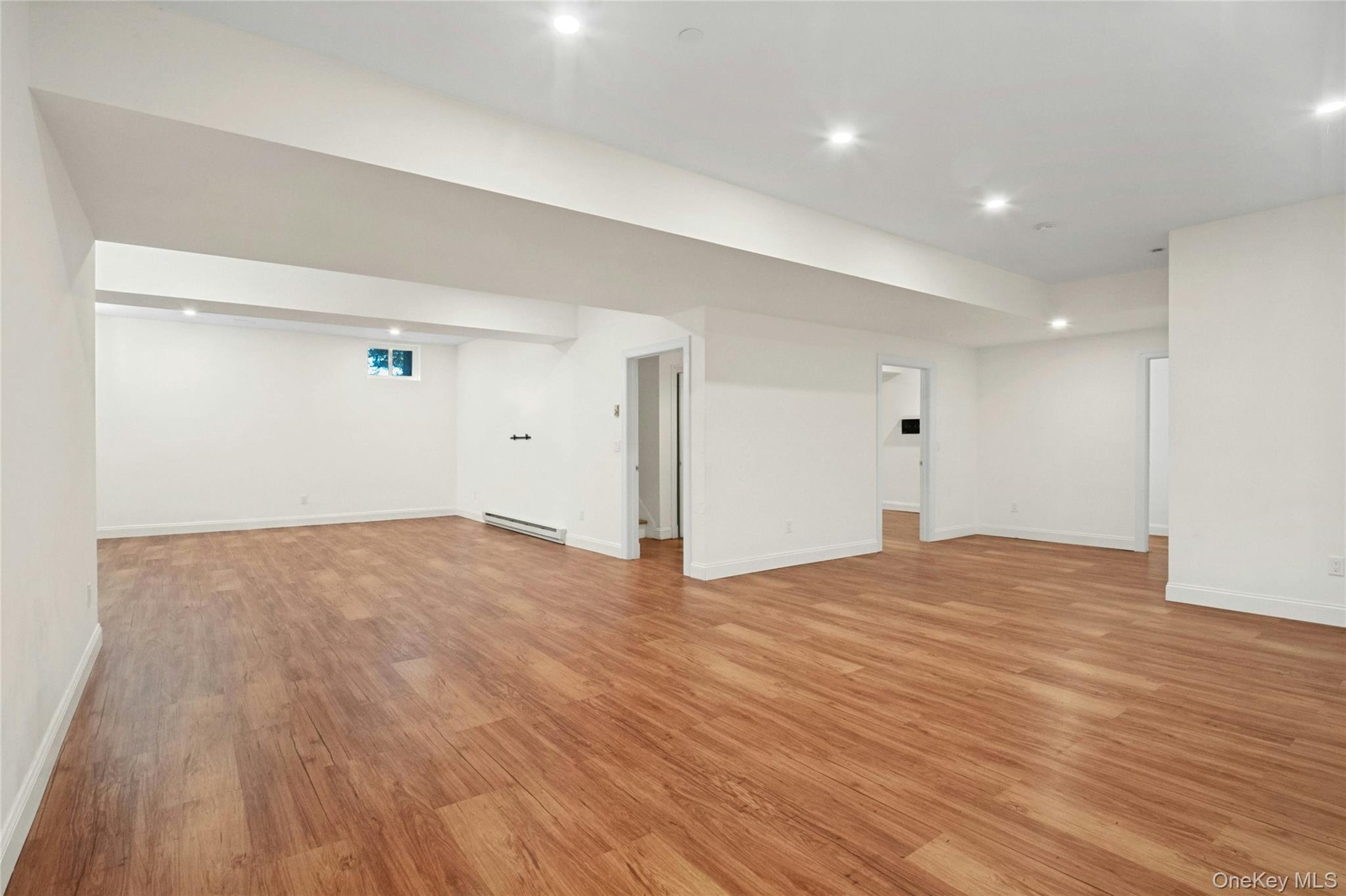 Open, expansive, Rec room with plenty of space for media room, exercise room, art studio and more.