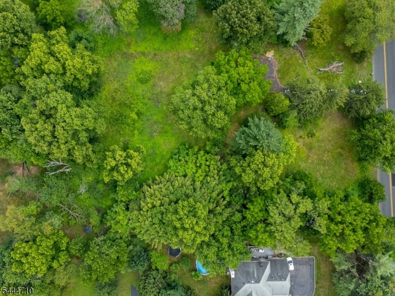 Areal view
