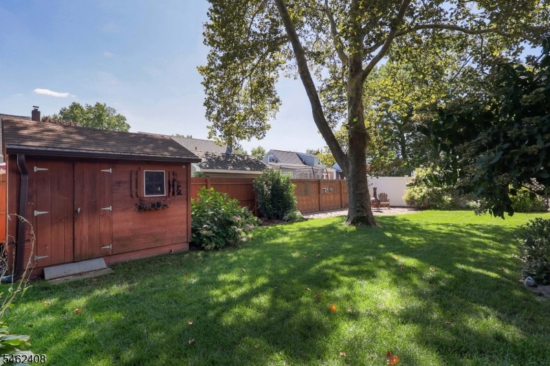 yard, shed