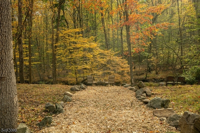 Path to Babbling Brook