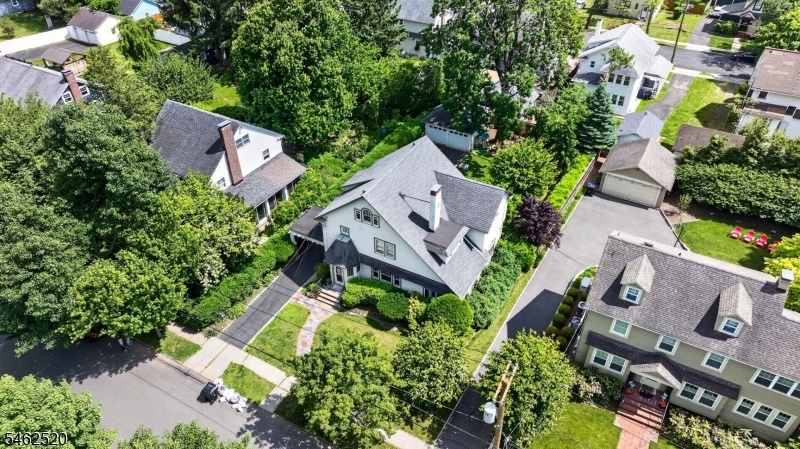 aerial