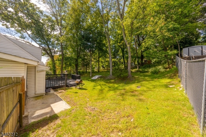 back yard