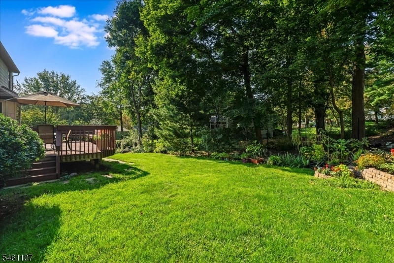 Private backyard