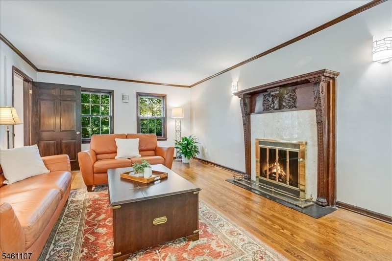 Living room with fireplace