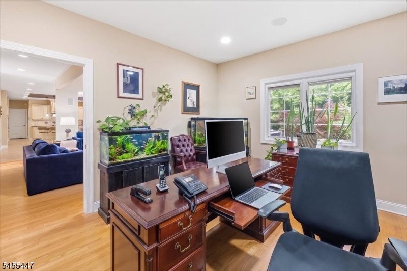 Bonus room or Office