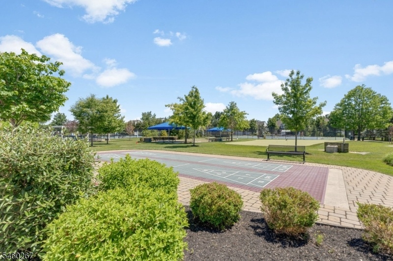 courts