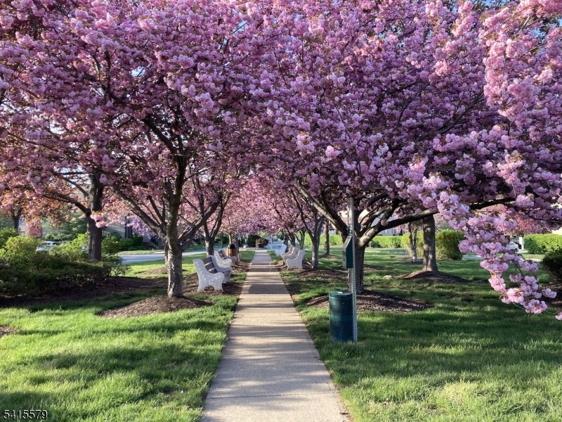 Complex walkway and benches