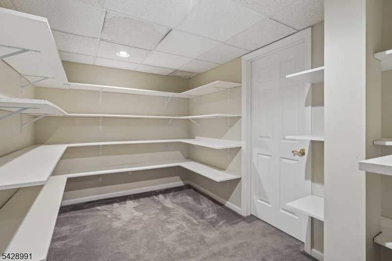Basement Closet