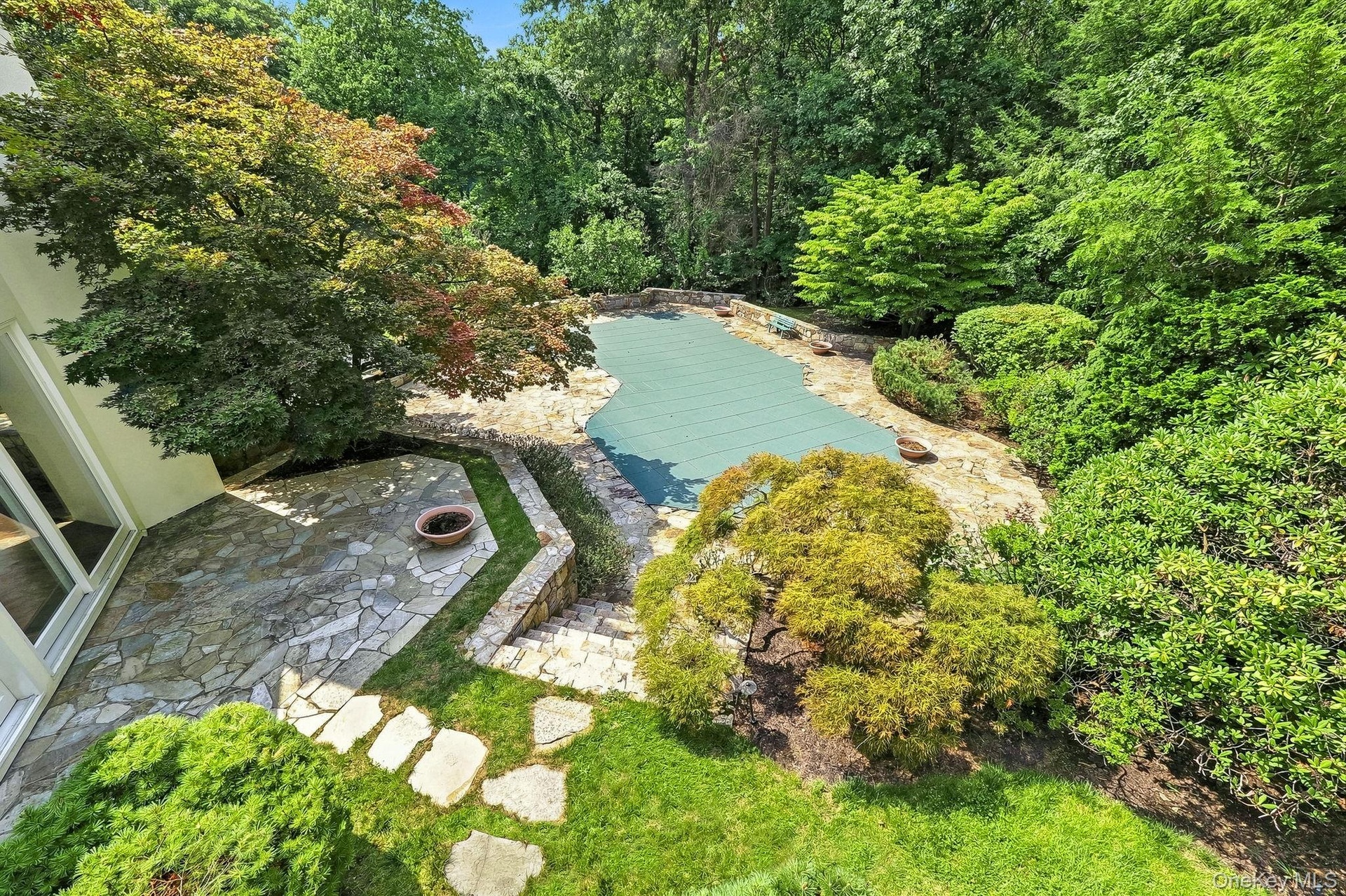 Aerial view of the backyard