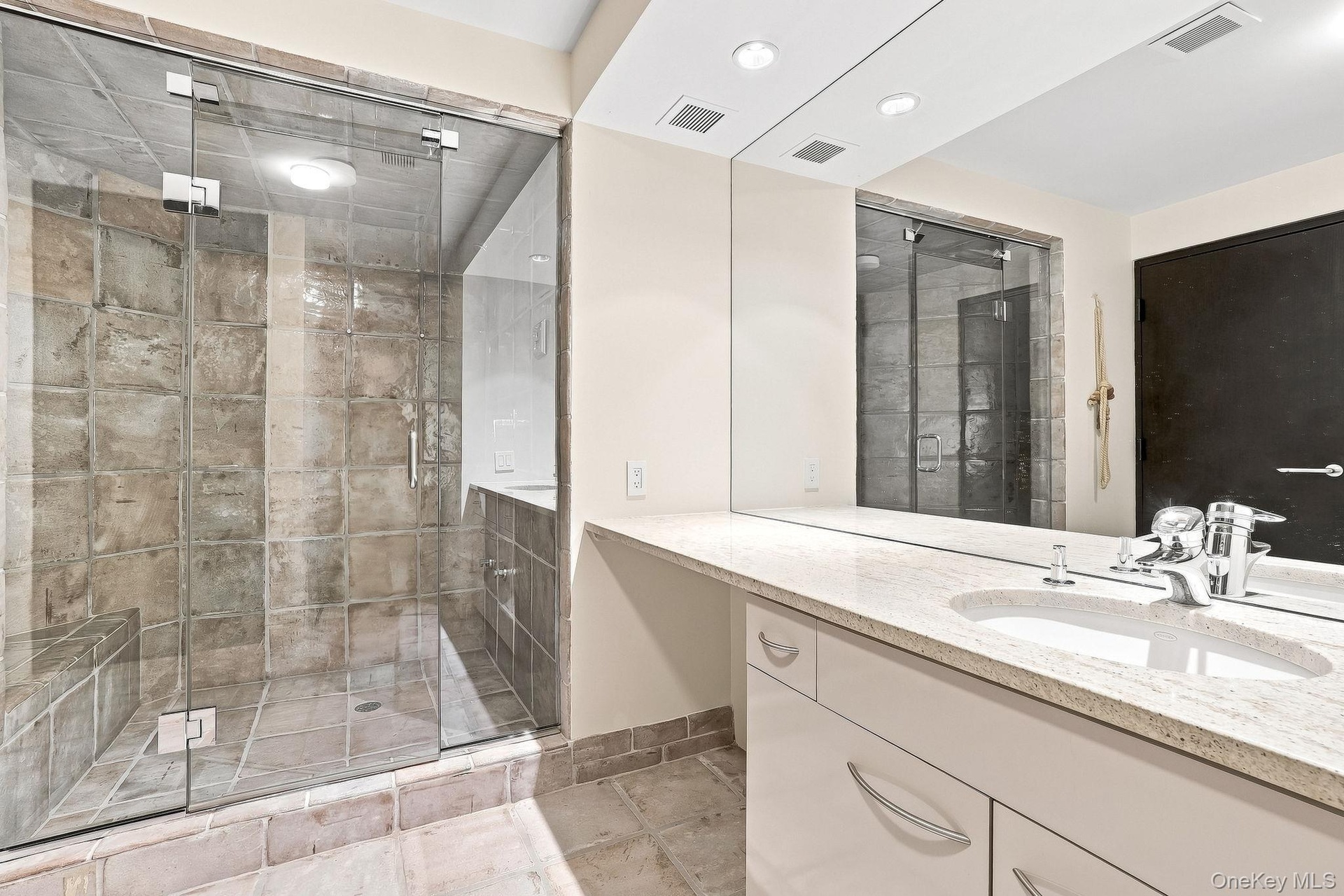 Lower level bathroom