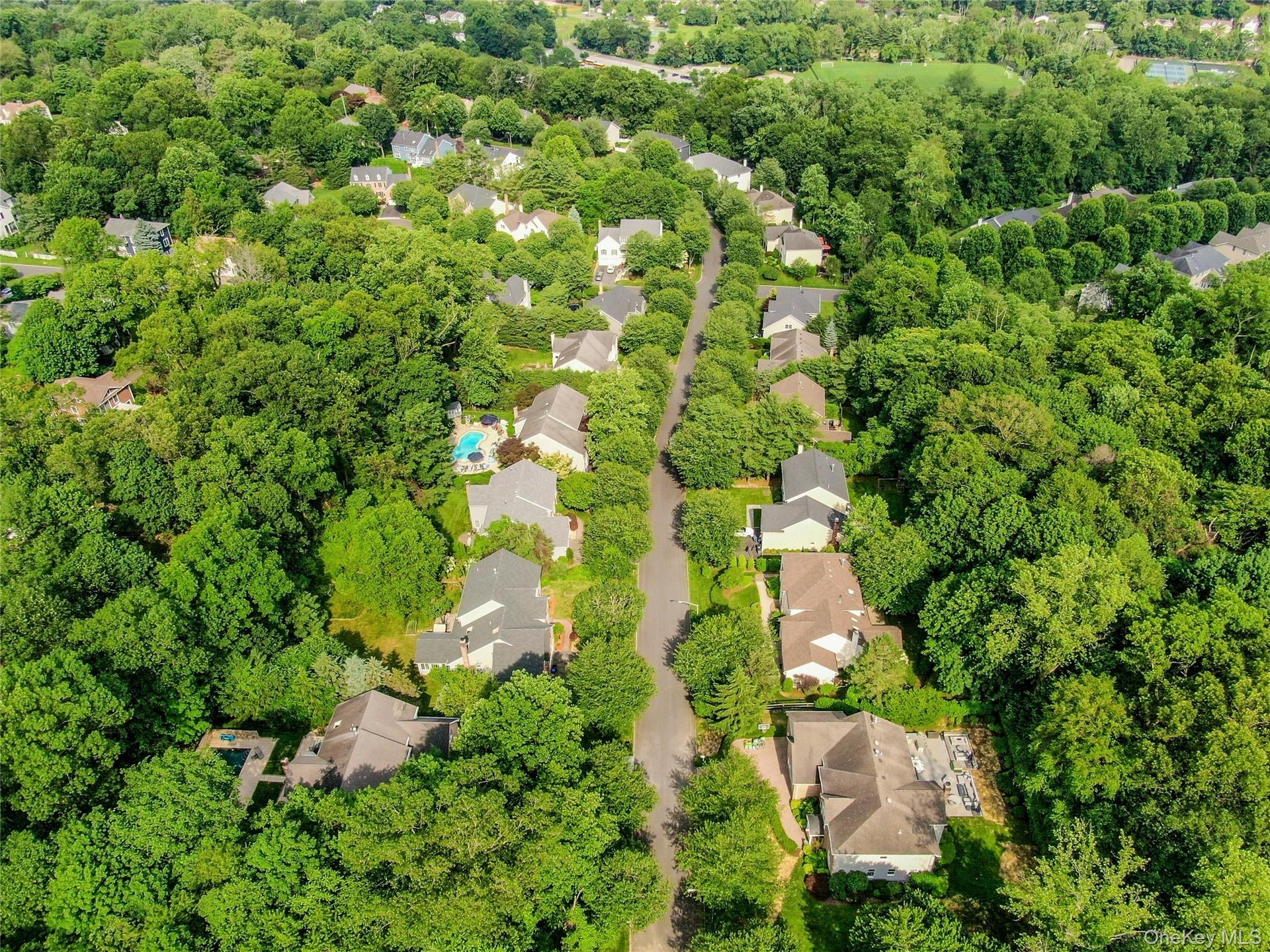 Ardsley Estates Neighborhood