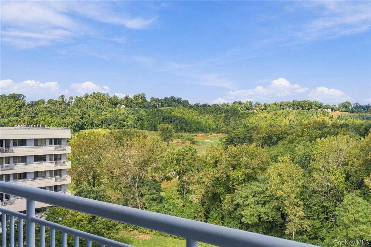 Expansive green space and mature trees under a clear sky
