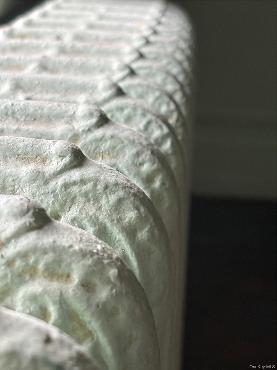 Original ornate cast-iron radiator featuring intricate raised-relief scrollwork, painted yet it made for a cool photograph.