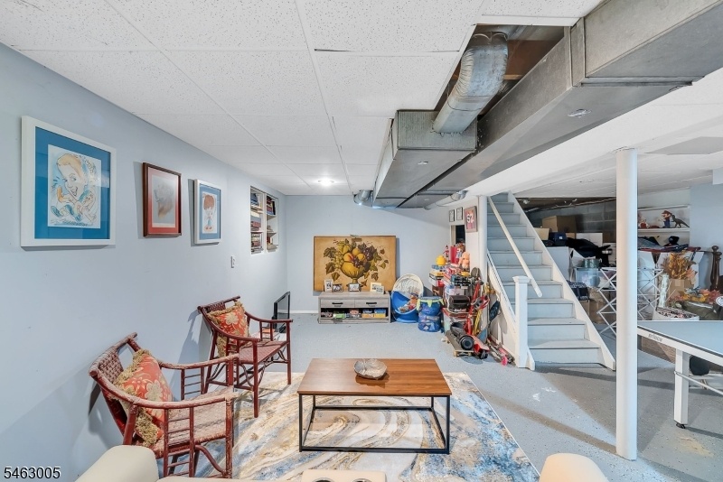 Basement Rec Area