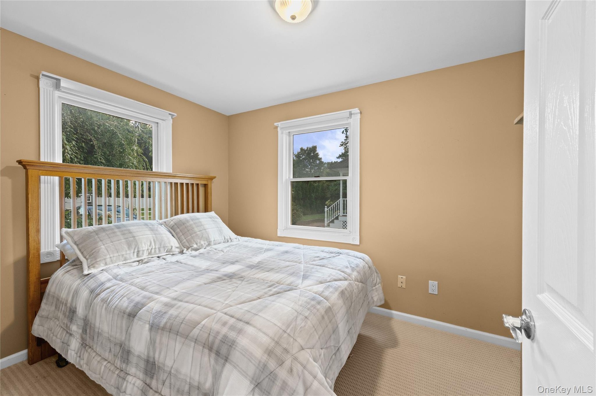 Neutral tone wall paint, white trim windows, and carpet flooring