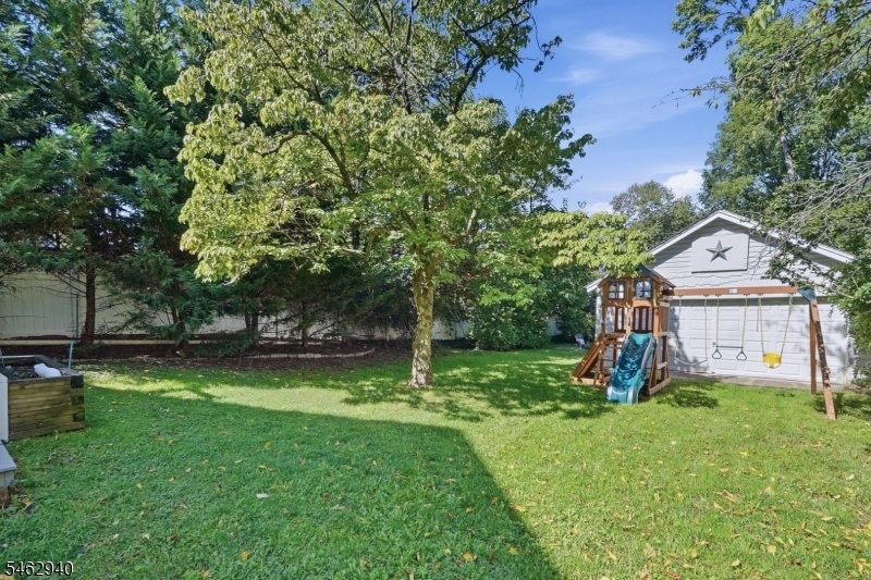 Deep Backyard