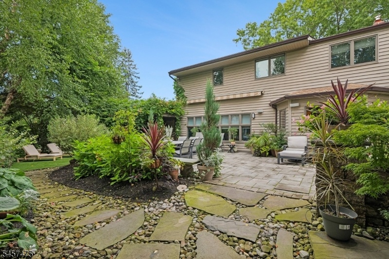 Backyard Garden