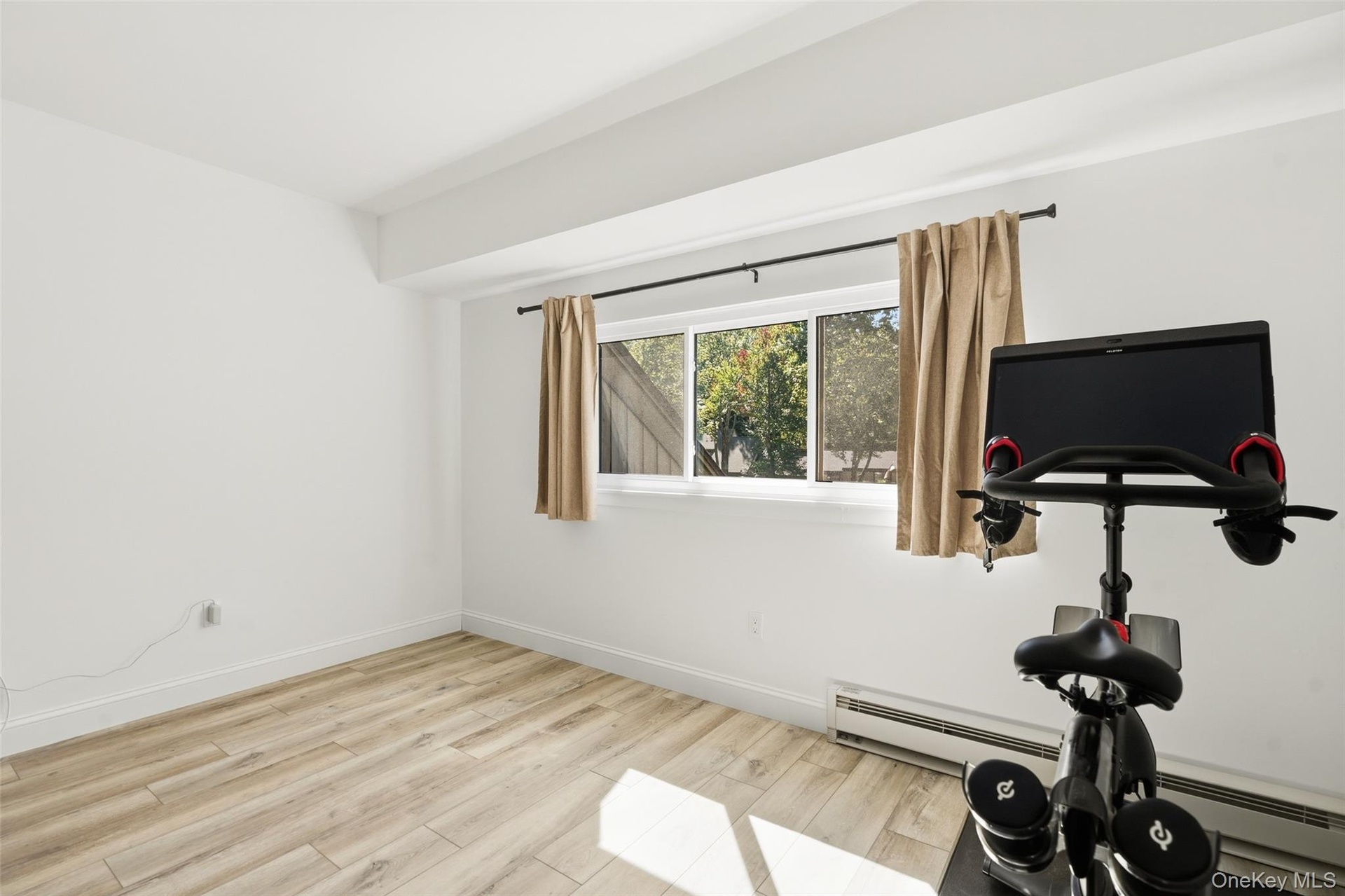 Den/Guest Room