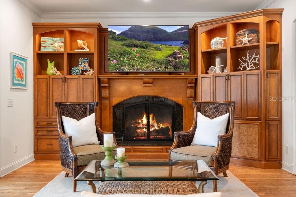 Wood burning Fireplace