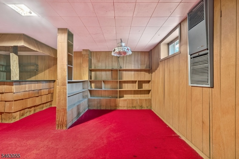 Basement Recreation