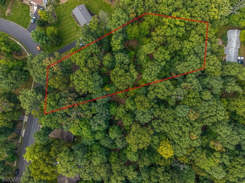 Aerial Lot View
