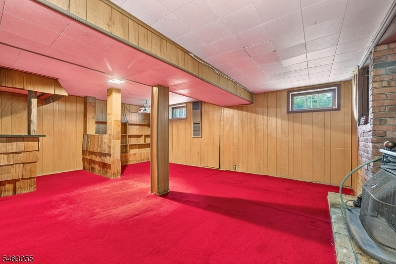 Basement Recreation