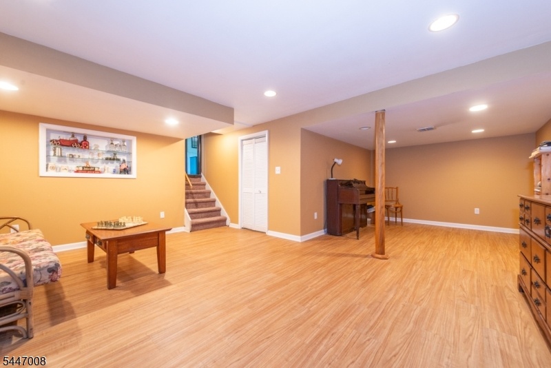 Lower Finished Rec Rm