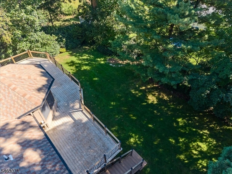 Backyard view