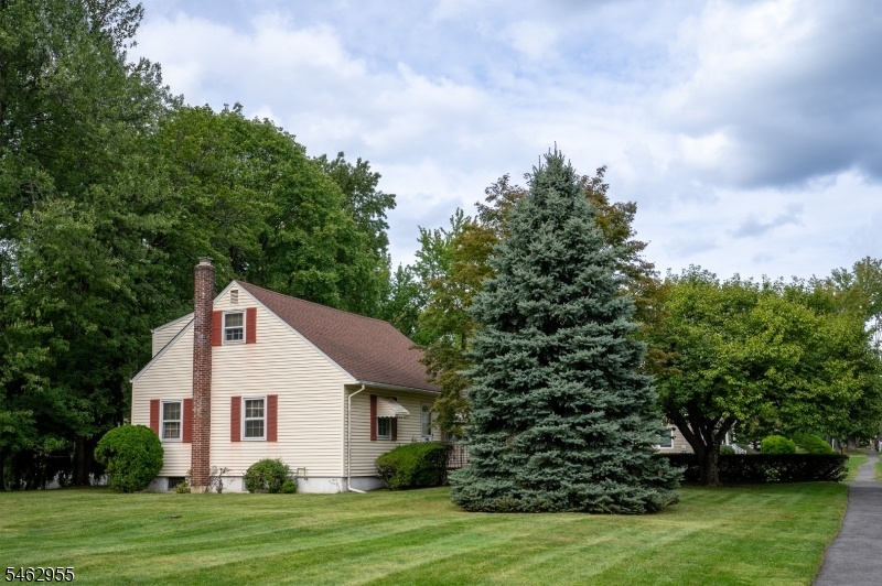 side yard