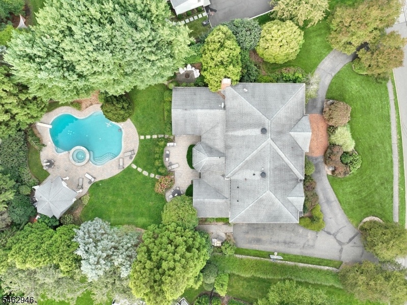 Overhead View