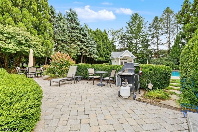 Speciman Plantings Throughout