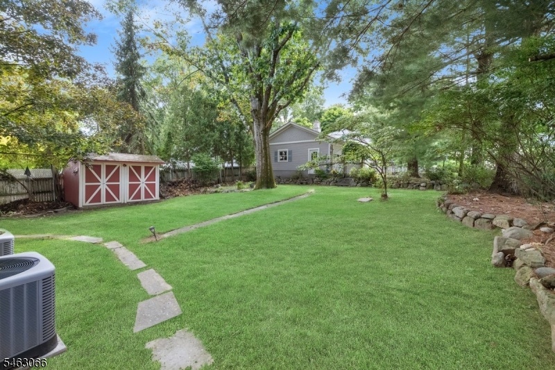 Back yard