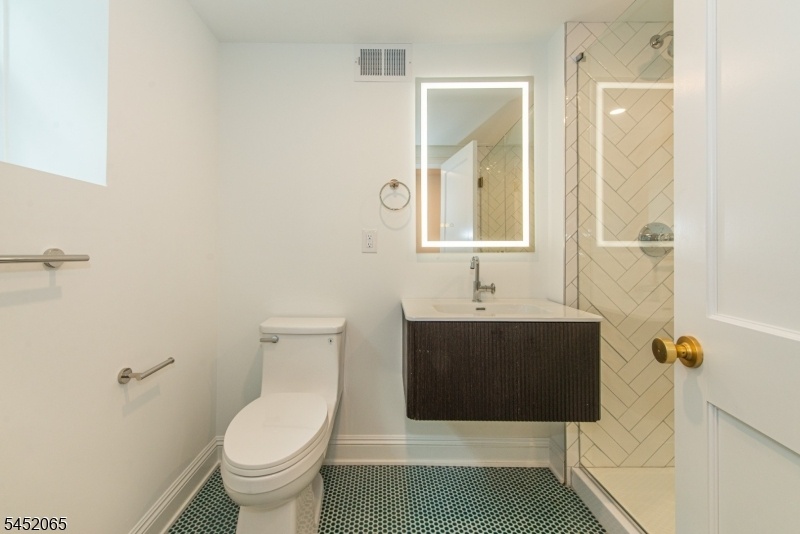 Lower Level Bathroom