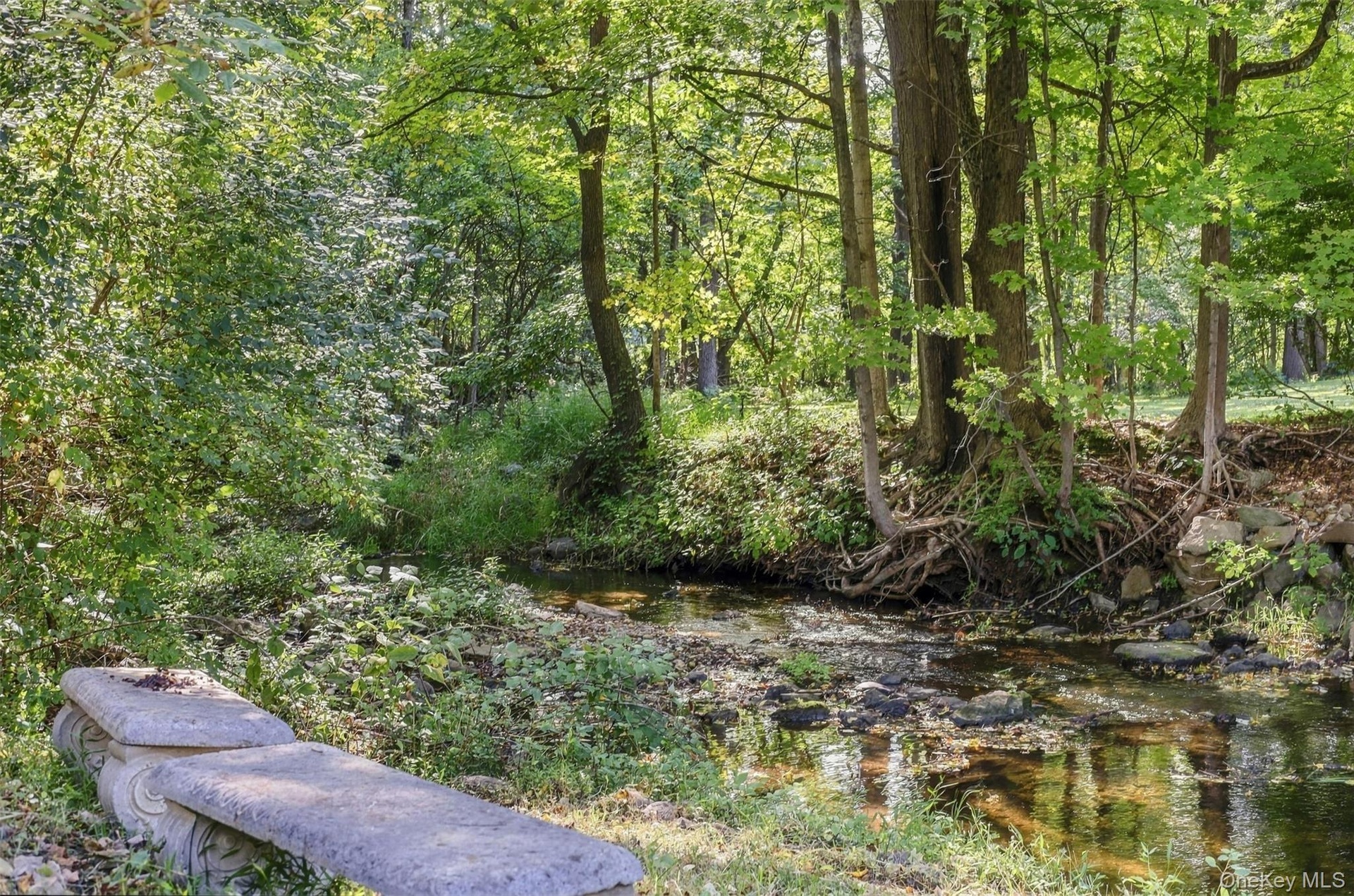Stream