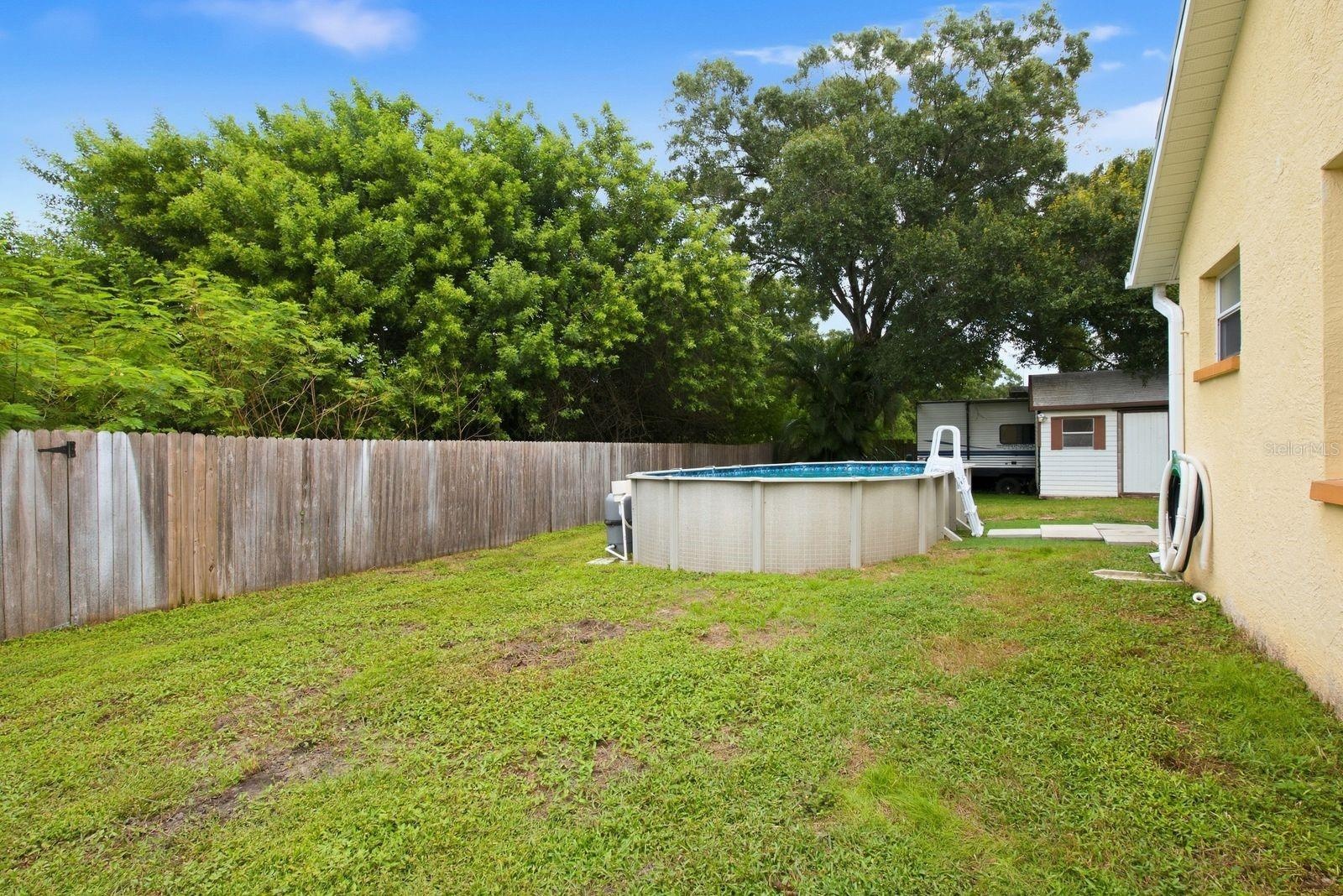 Backyard