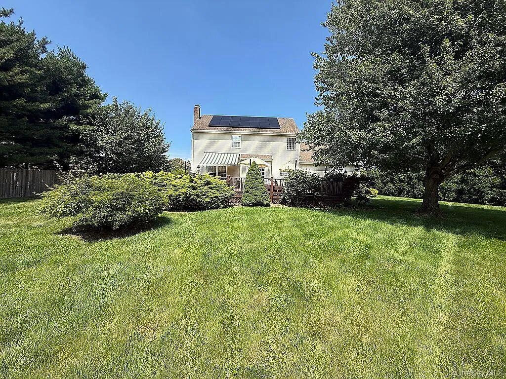 Expansive Backyard
